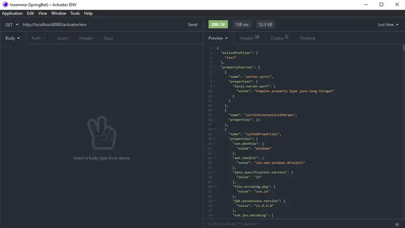 Insomnia Spring Boot actuator info/env