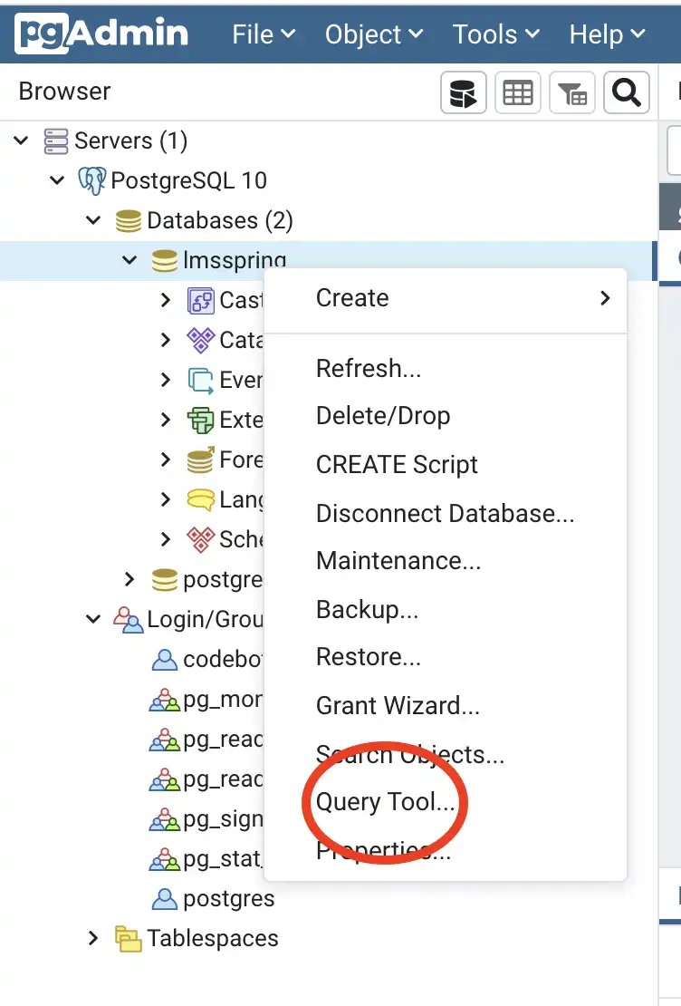 Query Tool